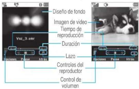 PANTECH C630 - Reproductor multimedia - 1