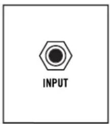 INPUT