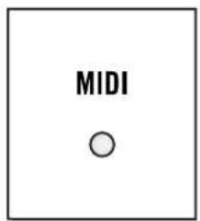 MIDI ○