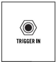 TRIGGER IN