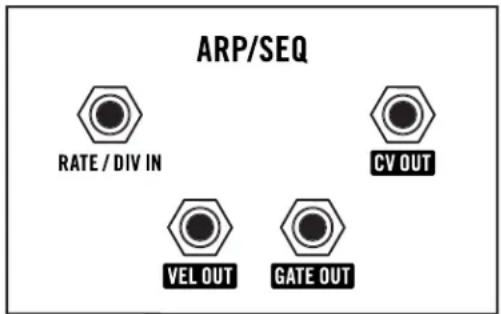 ARP/SEQ RATE / DIV IN CV OUT VEL OUT GATE OUT
