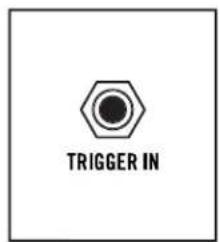 TRIGGER IN