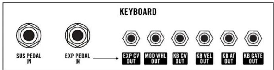 KEYBOARD SUS PEDAL IN EXP PEDAL IN EXP CV OUT MOD WHL OUT KB CV OUT KB VEL OUT KB AT OUT KB GATE OUT
