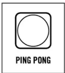 PING PONG