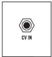CV IN