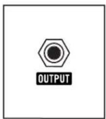 OUTPUT