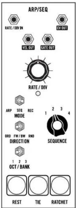 ARP/SEQ RATE / DIV IN CY OUT VEL OUT GATE OUT RATE / DIV ARP SEQ REC MODE ORD FW / BW RND DIRECTION 1 2 3 OCT / BANK SEQUENCE REST TIE RATCHET