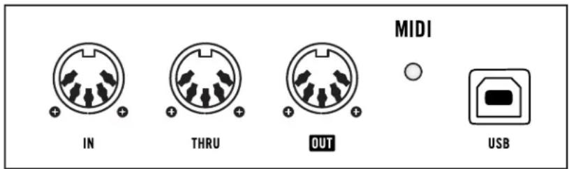 MIDI IN THRU OUT USB