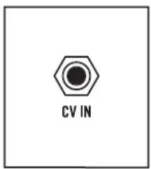 CV IN