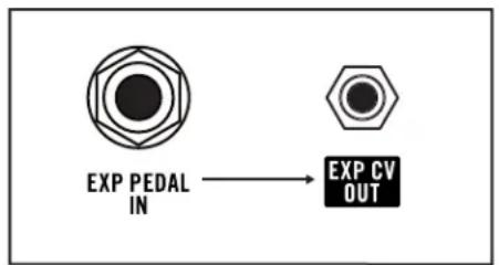 Moog Matriarch Dark - EXP PEDAL IN (Expression Pedal Input) - 1