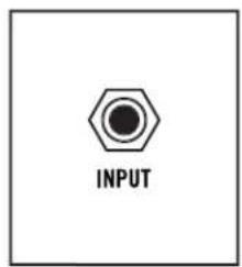 INPUT