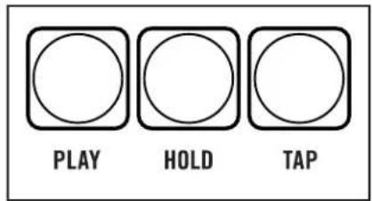 PLAY HOLD TAP