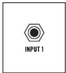 INPUT 1