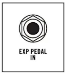 EXP PEDAL IN
