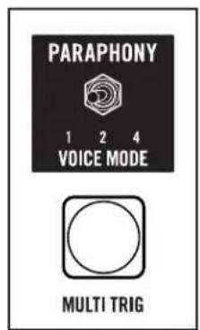 PARAPHONY 1 2 4 VOICE MODE MULTI TRIG