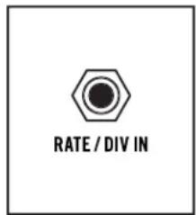 RATE / DIV IN