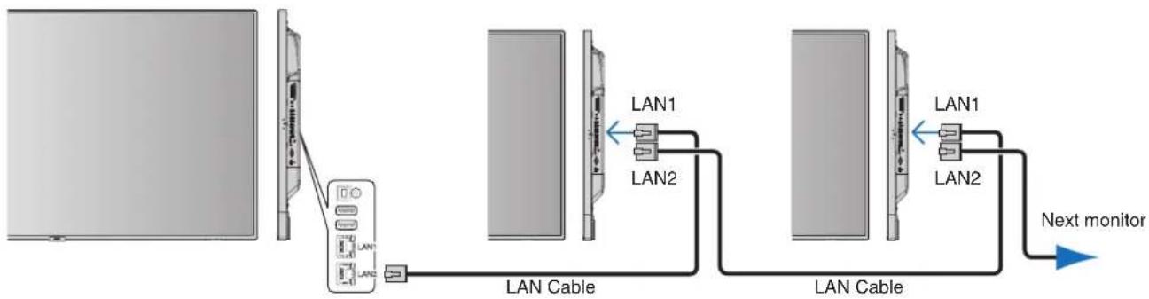 NEC MultiSync V554Q - Multiple Monitors Connection - 1