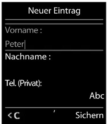 Neuer Eintrag Vorname : Peter| Nachname : Tel. (Privat): Abc