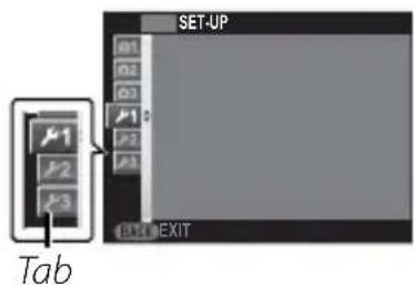 SET-UP Tab