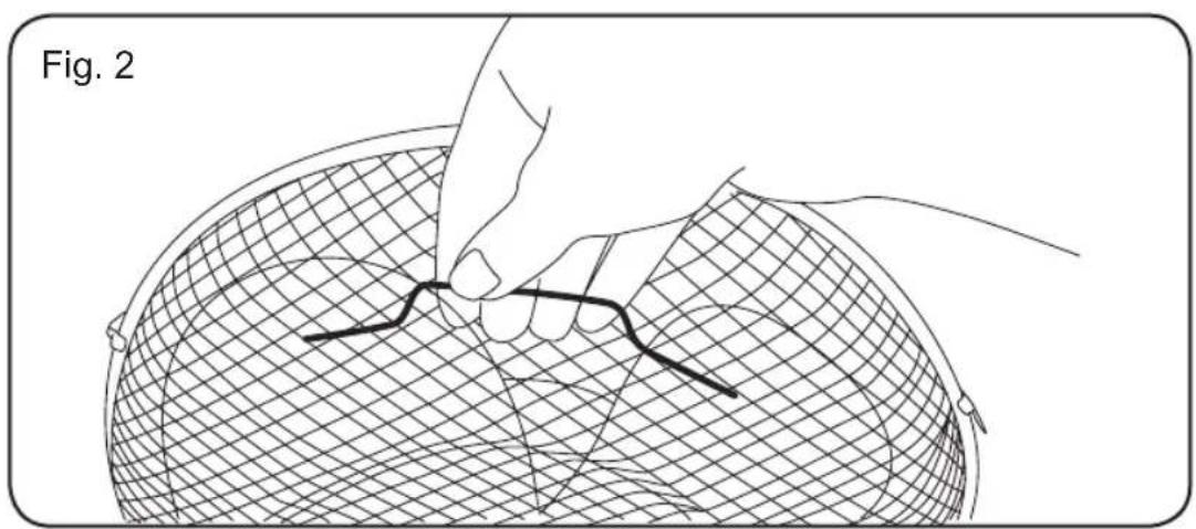Fig. 2