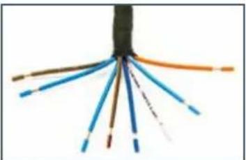 AUDISON Prima APSP G6 - APSP G6 HARNESS cable connection to AP8.9 bit G6 - 2