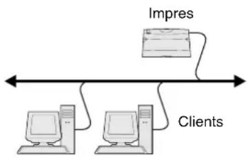 LEXMARK C510 - Windows Als entorns Windows, les impressores de xarxa es poden configurar - 1