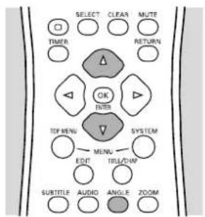 SELECT CLEAR MUTE TIMI R RETURN OK FEBR TOP MENU SYSTEM MENU EDIT TRI/EXP SUBTITLE AUDIO ANGLE ZOOM