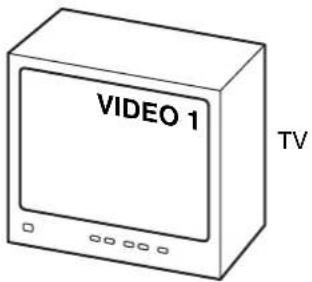VIDEO 1 TV