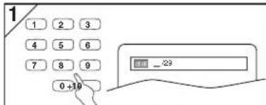 1 1 2 3 4 5 6 7 8 9 0+10