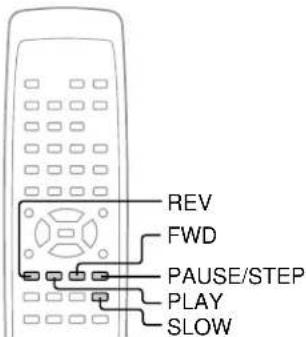 REV FWD PAUSE/STEP PLAY SLOW