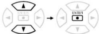 TOSHIBA SD-100X - Press ▲/ ▼ to select the setting you want to change, then press ENTER. - 1