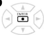 TOSHIBA SD-100X - Press ENTER. - 1
