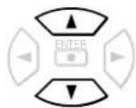 TOSHIBA SD-100X - Press AUDIO or ▲while the audio setting is displayed on the TV screen. - 2