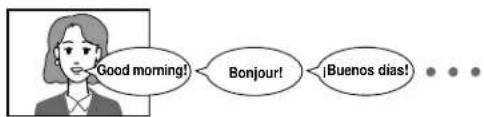 TOSHIBA SD-100X - Selecting a Language - 1