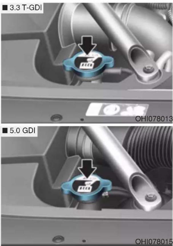 ■ 3.3 T-GDI ■ 5.0 GDI OH1078013 OH1078015