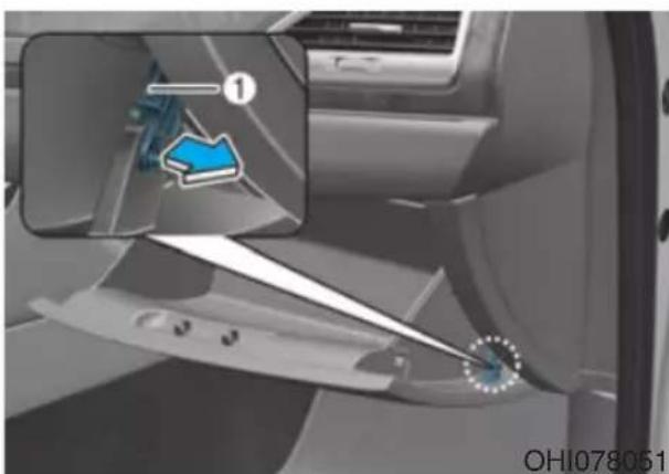 Genesis G90 (2021) - Filter Inspection - 2