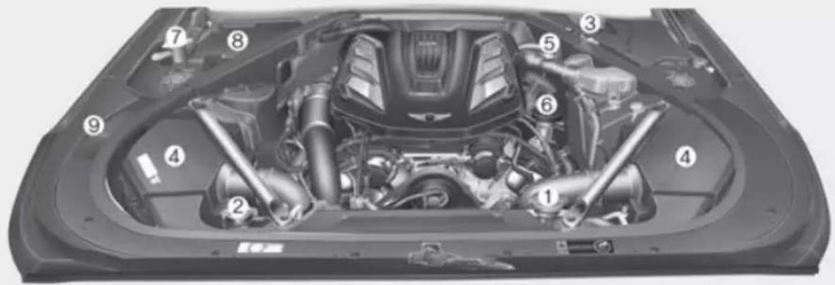 Labeled diagram of a car engine bay with numbered components for identification
