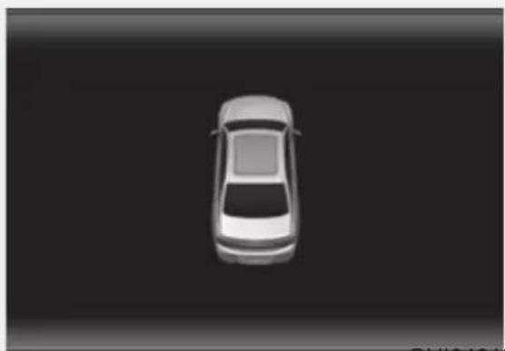 Genesis G90 (2021) - WARNING - 1