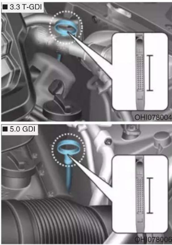 ■ 3.3 T-GDI ■ 5.0 GDI OH1078004 OH1078006