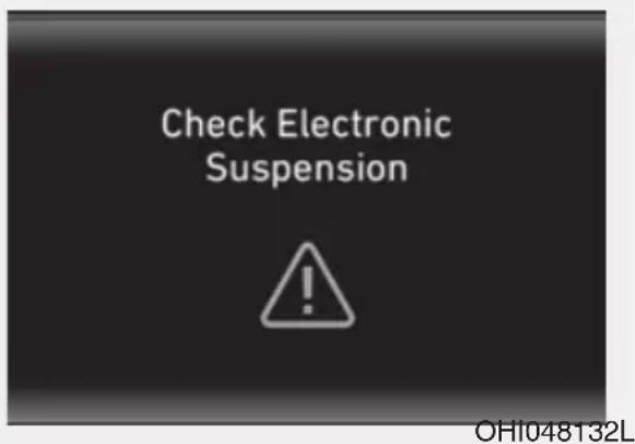 Check Electronic Suspension ! OH1048132L