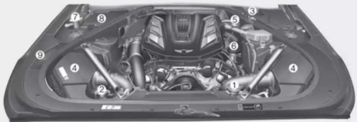 Labeled diagram of a car engine bay with numbered components for identification