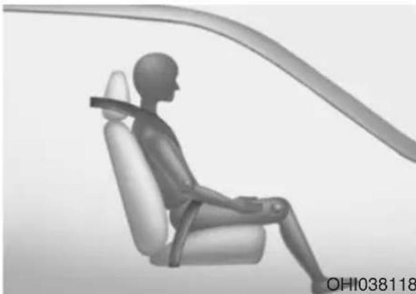 Genesis G90 (2021) - WARNING - 11