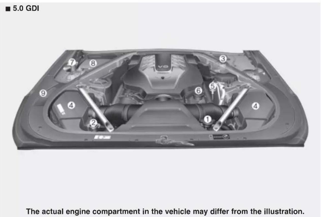 ■ 5.0 GDI The actual engine compartment in the vehicle may differ from the illustration.