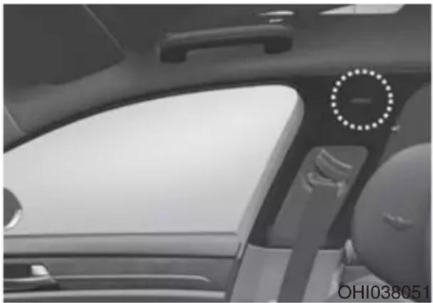 Genesis G90 (2021) - WARNING - 1