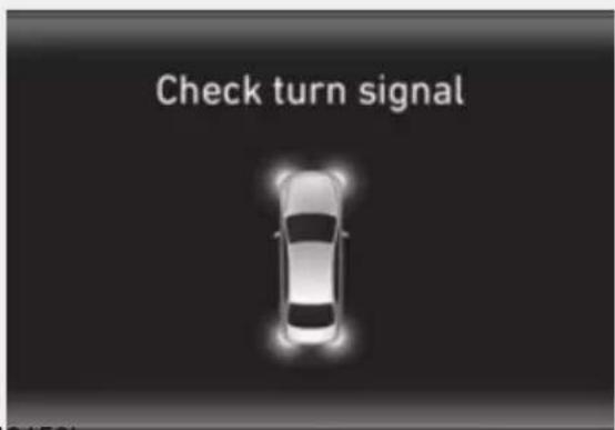 Check turn signal 01:501