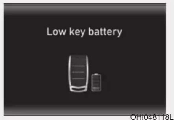 Low key battery OH1048118L