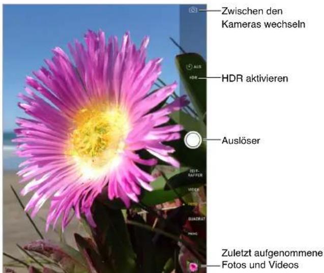 Zwischen den Kameras wechseln HDR aktivieren Auslöser Zuletzt aufgenommene Fotos und Videos