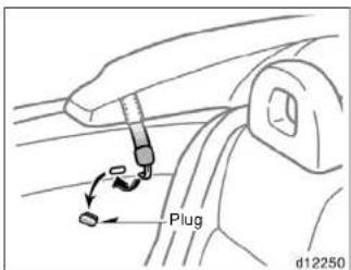 Plug d12250