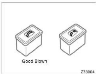 Good Blown Z73004