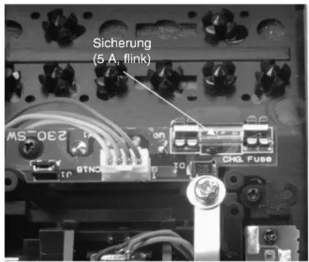 Sicherung (5 A, flink)